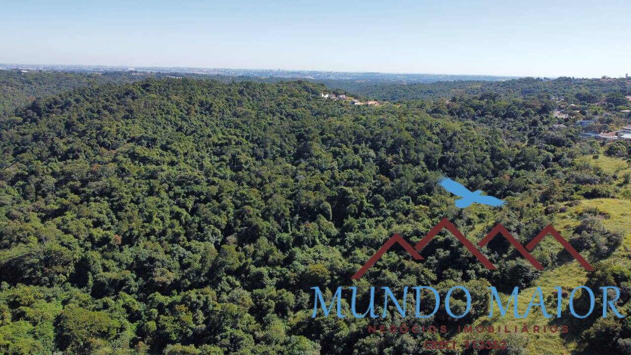 Fazenda à venda com 4 quartos, 1190m² - Foto 43